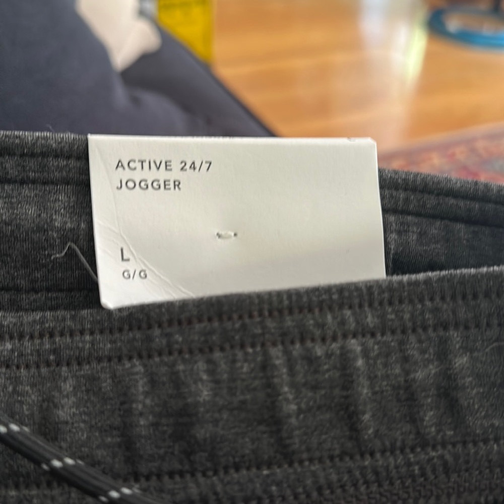 AE Joggers